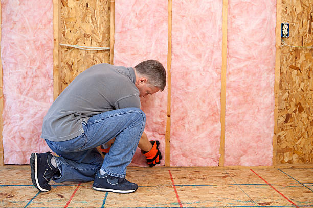 Best Cellulose Insulation in Waunakee, WI